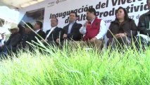 Inaug Vivero Alta Produccion