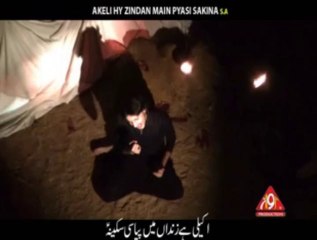 PAYASI SAKINA SYED SUBBAIB ABIDI 2013-14 Dasta-e-Babul Hawaej