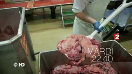 Bande annonce Infrarouge - l'emmerdeuse UNE VIE DE COCHON