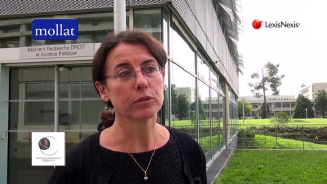 Florence Deboissy - Précis de fiscalité des entreprises 2013-2014