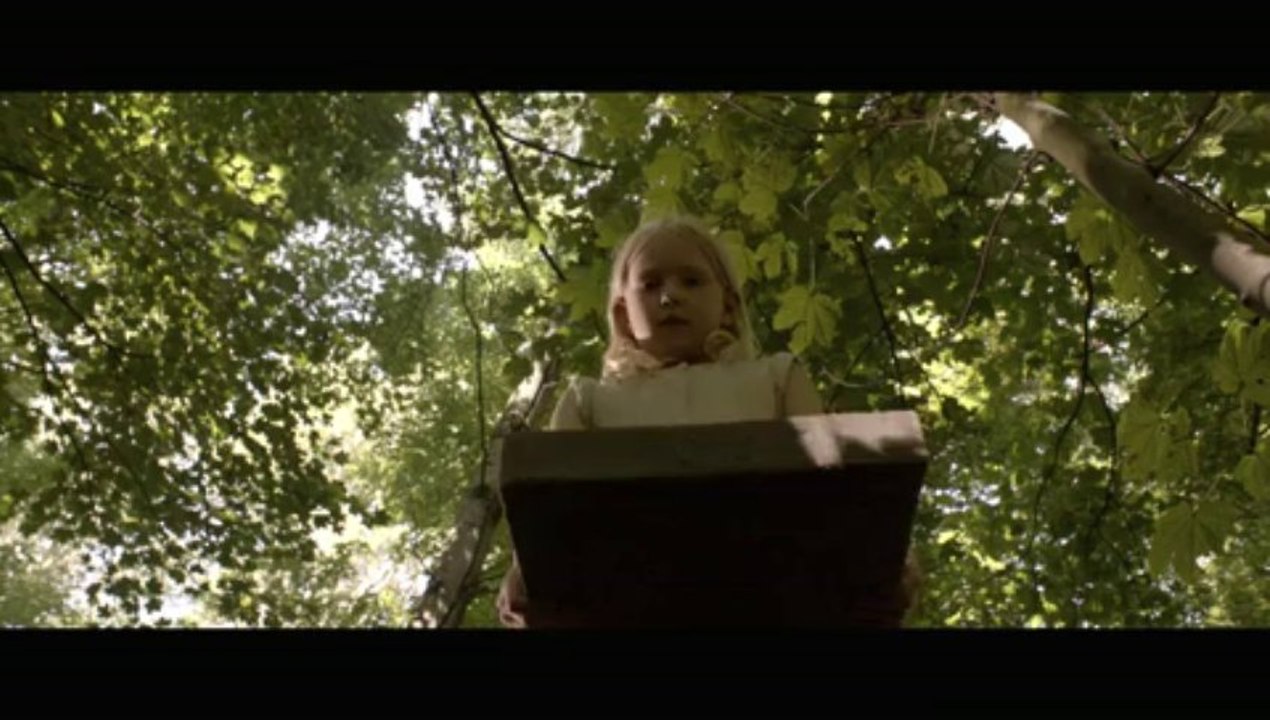 Borgman