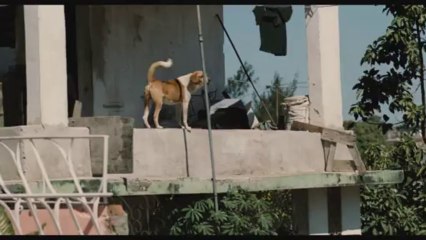 UNA NOCHE - Bande-annonce VO