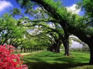 Ufuk KaRa ..SENii ANLATABiLMEK ÖYLES!NE ZOR Kii iSTANKÖYLÜ KIZ :( :(