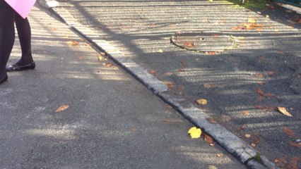 Collectif Manif pour tous