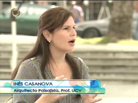 Arquitecto no hay suficientes espacios públicos y no están bien distribuidos ni equipados