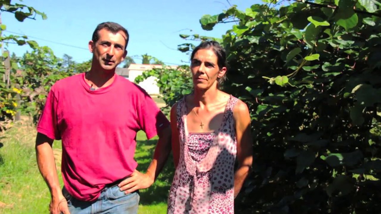 Producteurs du Pays d'Albret - Domaine de Heugarède