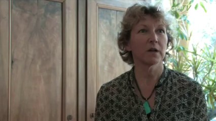 Emission du dimanche 3 novembre 2013