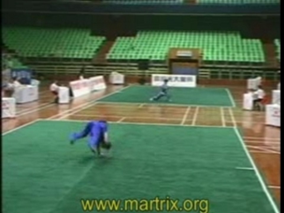 Flying and Falling