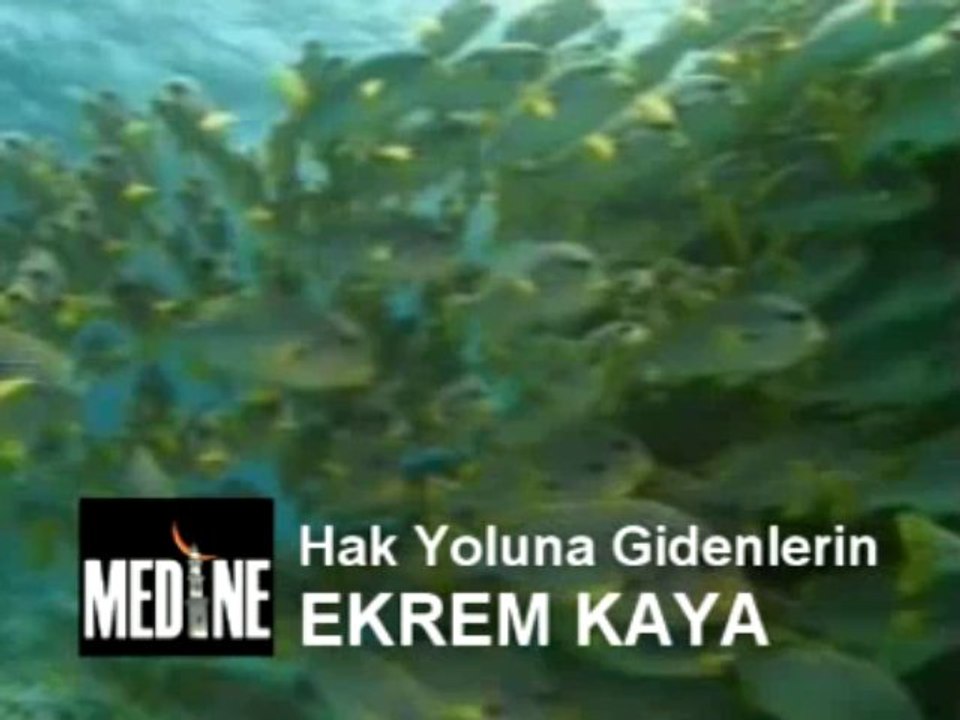 Ekrem Kaya - Hak Yolunda Gidenlerin