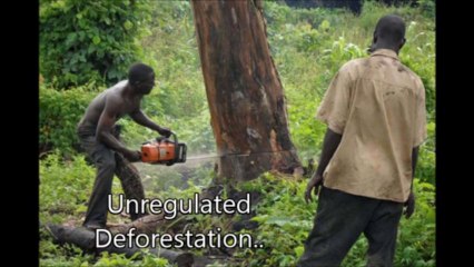 Preventing Environmental Crime (Video Short)