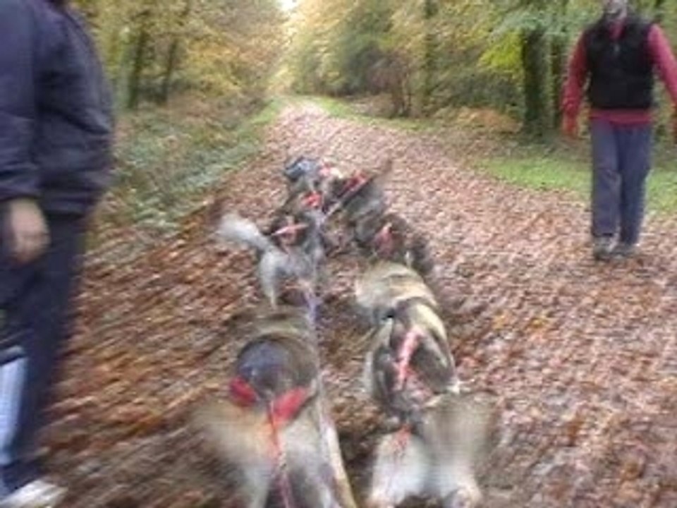 Entraienement KNC direct small