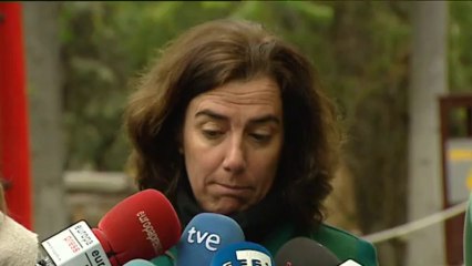 El tímido y soñoliento oso panda de Madrid se presenta en sociedad