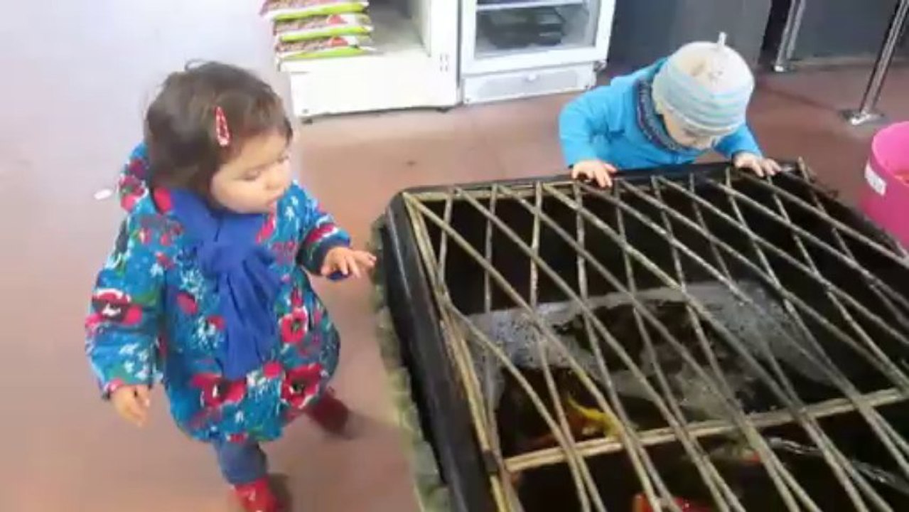 OZO