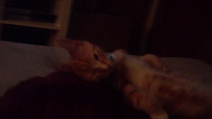 Oliver sleeping in a stringed position