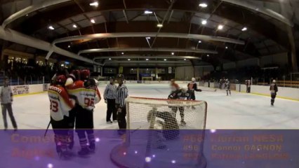 Comètes vs La Roche sur Yon 2/11/2013