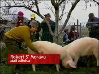 Rokeri S Moravu - Mali Miloica