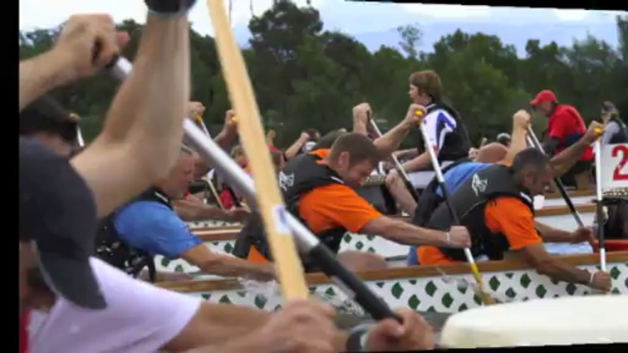 contact.dragonboat@gmail.com