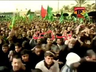 Labaik Ya Hussain, Hassan Sadiq 2013 14