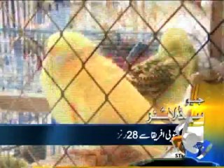 Geo Headlines-09 Nov-2013-0900