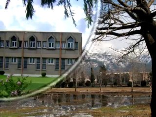 Tum se kitna pyar hay Dil me Utar kar daikh lo