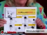 The Easy Way to Draw a Dog's Eye