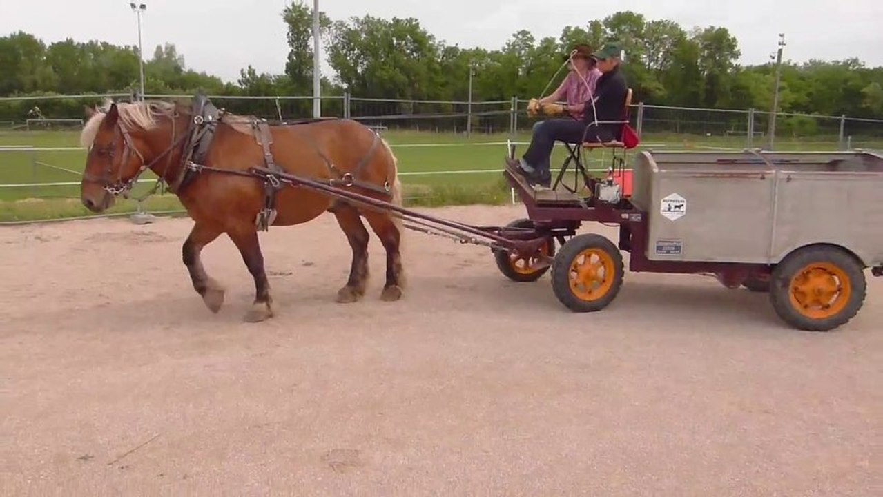 Harnais Chevilatte HIPPOTESE (test palonnier et mortaises longues)