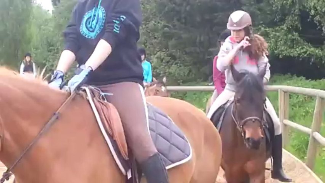Cours d'équitation (début 2OI3)