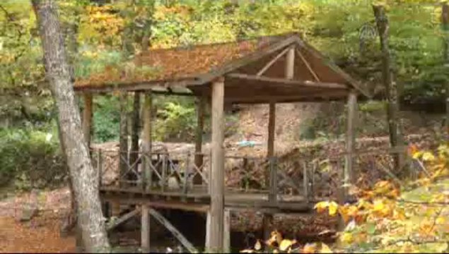 Sonbahar güzelliği