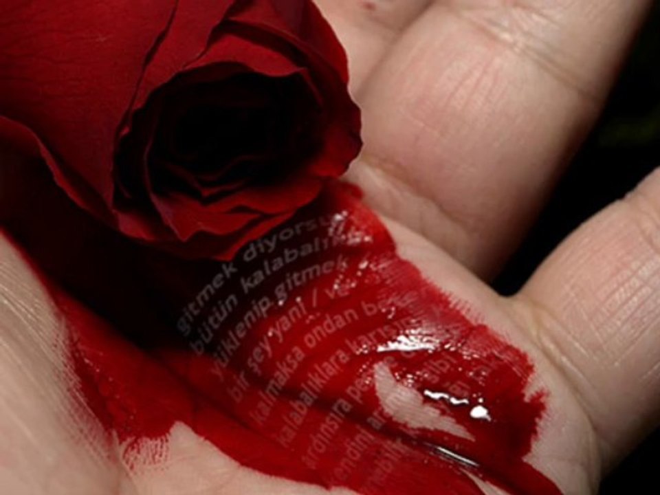 Feryâd -Yahya Soyyiğit