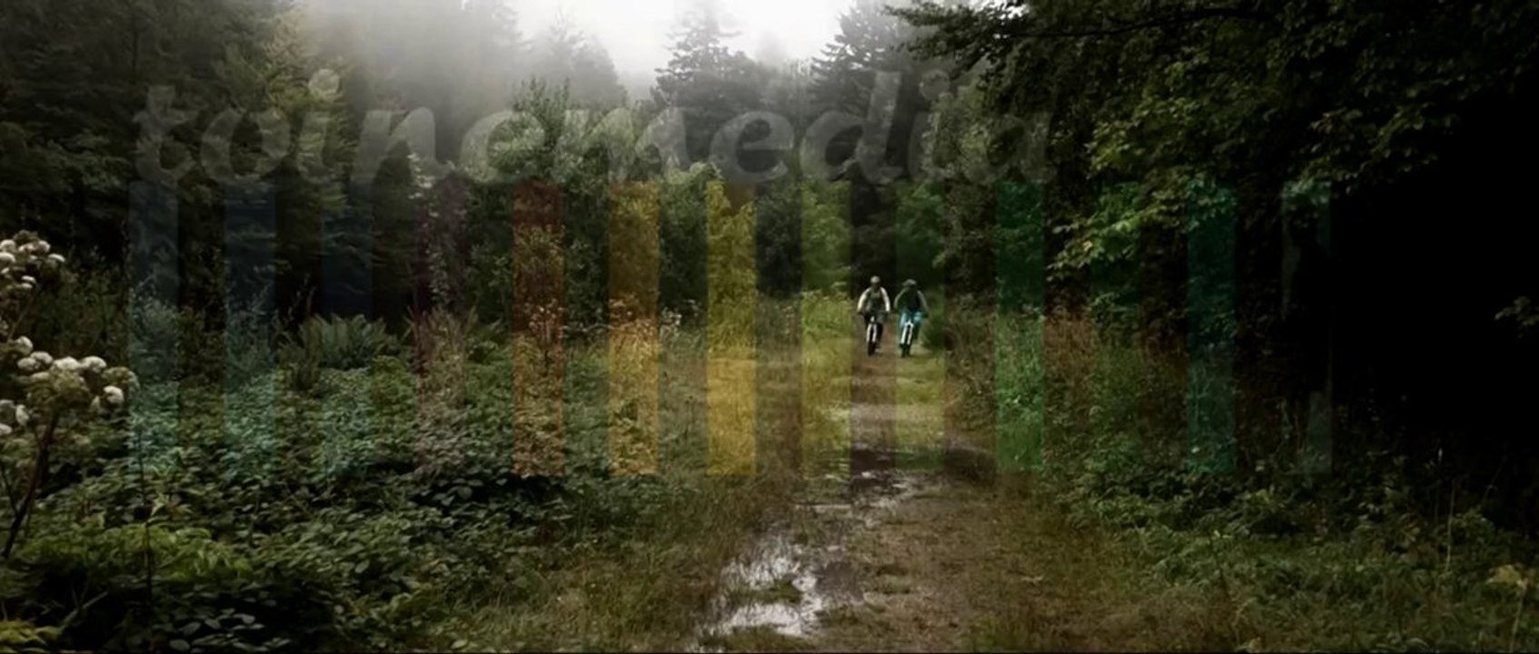 Inside the Vosges: Soul of Enduro