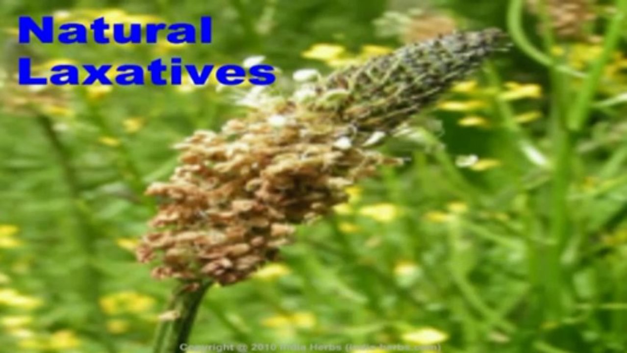 10 Body Detox Tips for Colon Cleanse, Liver Detoxification, Natural Detoxifying Diet