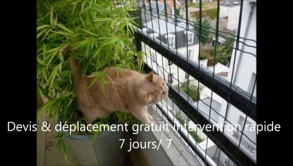 Pagani & fils installateur de filet de securité pour chat sur les balcon , fenêtre et jardins