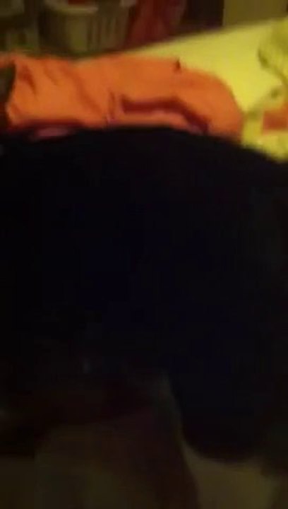 George le CHAT qui parle : "HELLO"