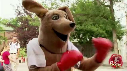 Angry Fighting Kangaroo