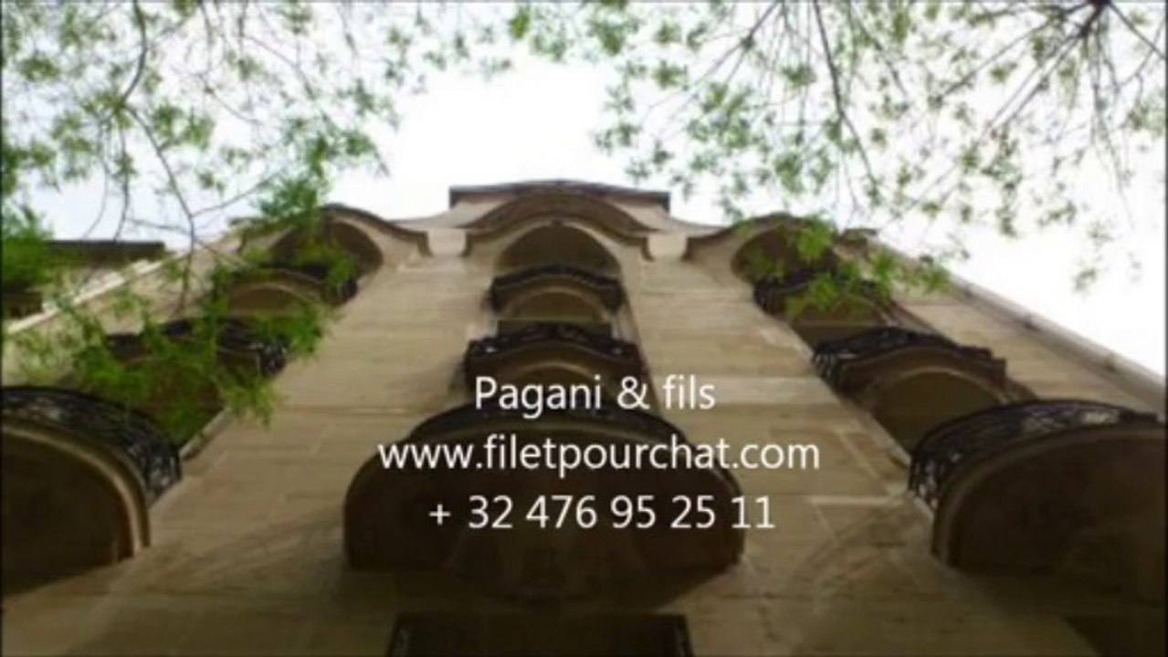 FILET DE SECURITE POUR CHAT SUR LE BALCON A PARIS