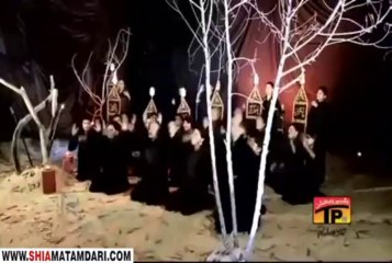 ABBAS E NAUJAWANAM - IRFAN HAIDER 2013 14 ShiaMatamdari.com