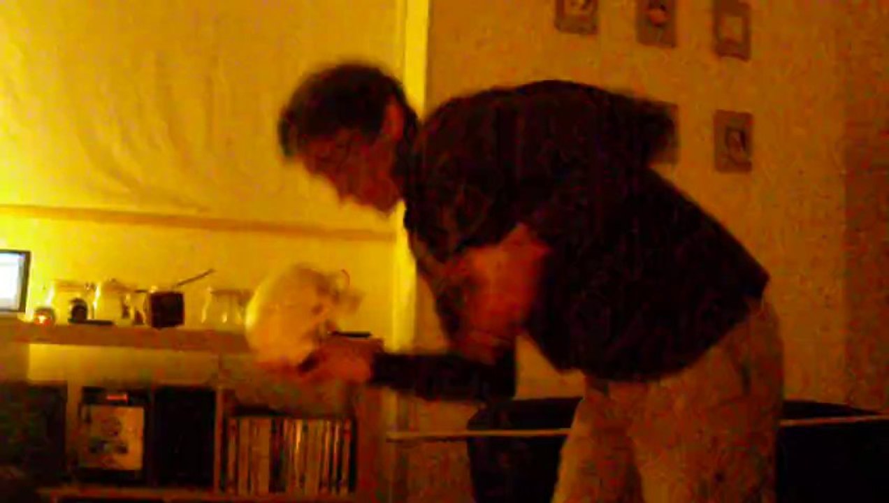 Danse d'Halloween 2013