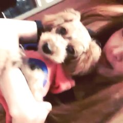 Say hi to our new family #goldie lol finally a girl !♥ 우리 여자 가 생겼어용ㅋ 둘째 베이비걸 골디 에용~^^