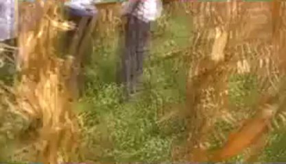 Création d’emplois : Le ministère de la Jeunesse compte sur l’agriculture