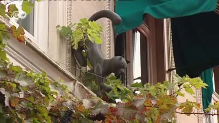 Hamburg - Three Travel Tips | Discover Germany