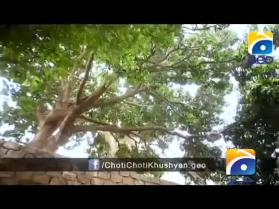 Chhoti Chhoti Khushiyan Episode 11 Geo Tv Drama  7th November 2013 in High Quality By GlamurTv