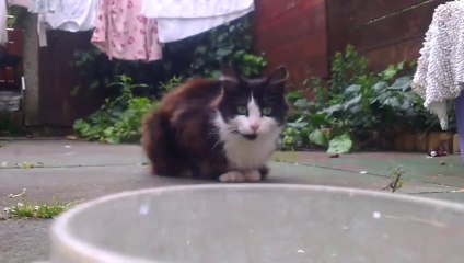 Bits of Life - filmed 1 sec per day during 4 monthes