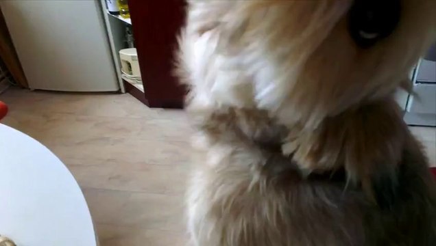 Moments de vie : filmer 1 sec par jour pendant 4 mois... ça donne ça.