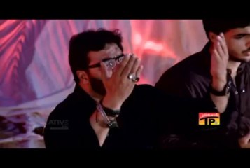 Anjuman Al Zulfiqar S.M.Naqi Vol: 2013/14 11 Main Syeda hun