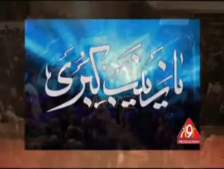 MUHAMMAD AMIR BANGASH NOHY 2014(ZAINAB KI AMANAT HEN )