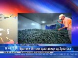 TV SPEKTRA VESTI 09.11