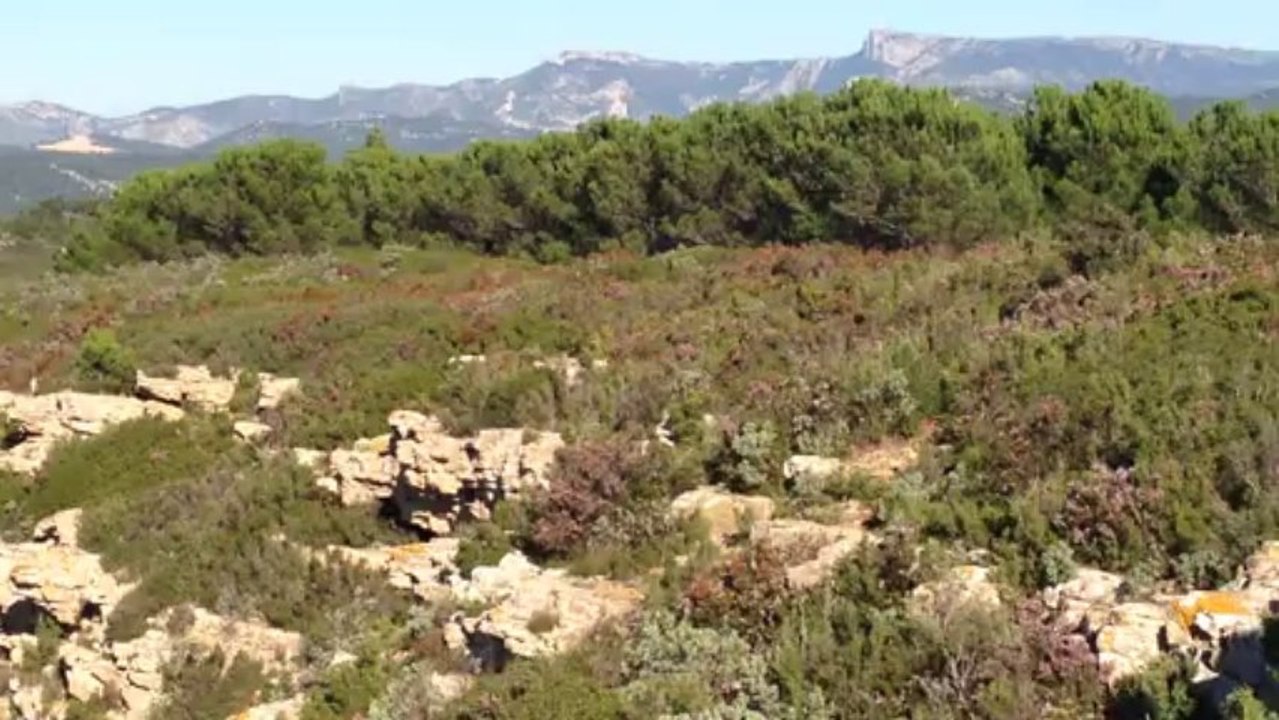 Cap Canaille
