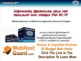 Hosting Y Ganancias GVO