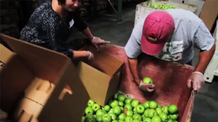 HP and Second Harvest Food Bank: Pro Bono