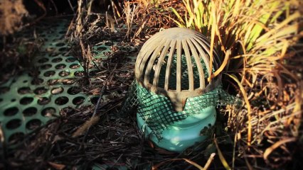 University of Iowa: Information Technology Facility